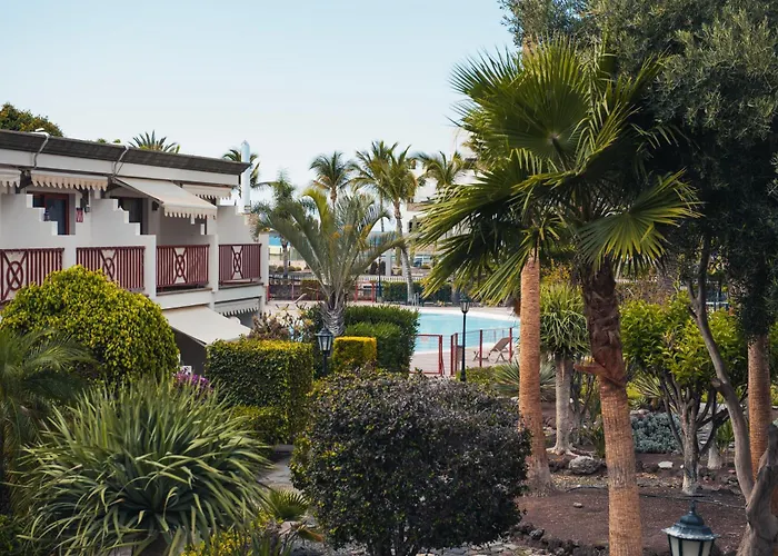 Bergeli Oasis *
