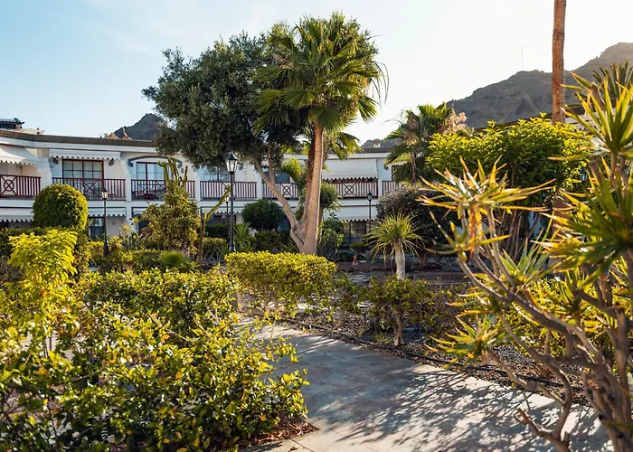 Bergeli Oasis *